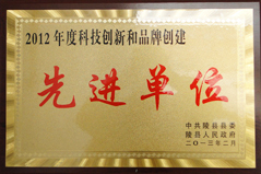 2012年度科技創(chuàng)新和品牌建設先進單位